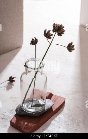 Getrocknete Blumen in Glasvase auf Natursteinen Podium in Sonnenlicht. Stillleben. Stockfoto