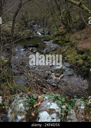 Blick stromaufwärts von der Brücke über den Fluss Cur bei Balliemeanoch. Strachur. Argyll und Bute. Schottland Stockfoto