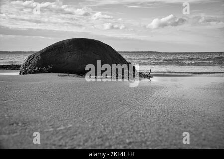 Großer Stein in Schwarz und Weiß, am Sandstrand vor dem Meer mit Wolken am Himmel. Dänemark in Skandinavien. Landschaft aufgenommen aus der Natur im Norden Stockfoto