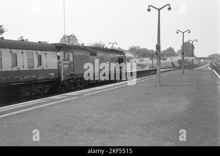Original british Rail Diesel Lokomotive Klasse 50 Nummer 50021 im Passagierdienst didcot ca. 1976 Stockfoto