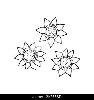 Drei Sonnenblumen. Schwarz-Weiß-Vektor isolierte Illustration handgezeichnete Doodle. Sommer schöne Blume mit Samen, sonnige Pflanze Stock Vektor