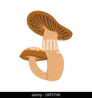 Zwei Waldpilze in einem, groß und klein. Vektor bunt isoliert Illustration Hand gezeichnete Doodle. Einfache Karte oder Druck. Clip-Art für die Herbstsaison Stock Vektor