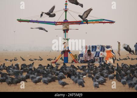 Tauben oder Tauben fliegen in Marina Beach Chennai. Stockfoto