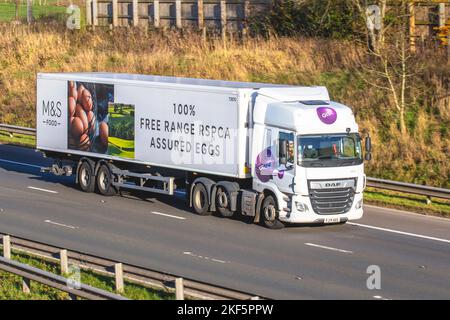 M&S, Marks & Spencer Lieferung von Eiern in GIST DAF-LKWS mit 510 T und 12902 ccm; Fahrt auf der Autobahn M6 UK Stockfoto
