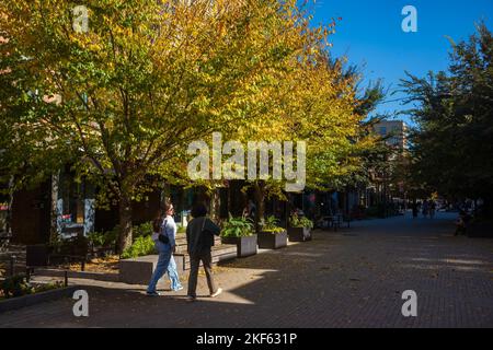 Ithaca, NY, USA - 24. Okt 2022: Die Innenstadt von Ithaca Commons, die hier während der Herbstsaison zu sehen ist, ist ein vier Blocks weiter, nur für Fußgänger, wo sich ein einzigartiger Laden befindet Stockfoto