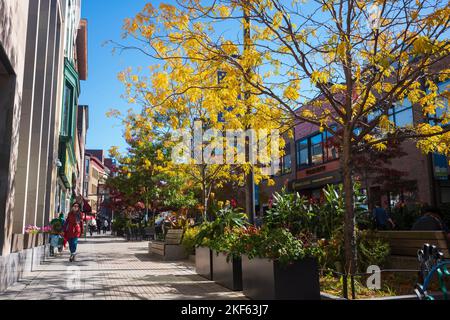 Ithaca, NY, USA - 24. Okt 2022: Die Innenstadt von Ithaca Commons, die hier während der Herbstsaison zu sehen ist, ist ein vier Blocks weiter, nur für Fußgänger, wo sich ein einzigartiger Laden befindet Stockfoto