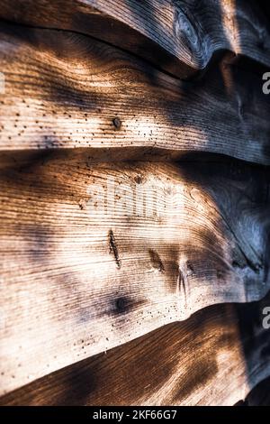 Ländlicher Garten Blick auf Farn und Gartenhaus mit Holzverkleidung. Stockfoto