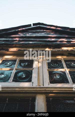 Ländlicher Garten Blick auf Farn und Gartenhaus mit Holzverkleidung. Stockfoto