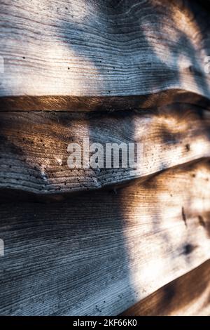 Ländlicher Garten Blick auf Farn und Gartenhaus mit Holzverkleidung. Stockfoto