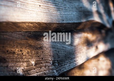 Ländlicher Garten Blick auf Farn und Gartenhaus mit Holzverkleidung. Stockfoto