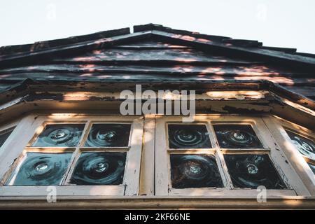 Ländlicher Garten Blick auf Farn und Gartenhaus mit Holzverkleidung. Stockfoto