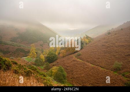 Neblige Morgenlandschaftslandschaft in den Shropshire Hills Stockfoto