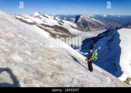 Beschreibung: Bergsteiger mit Steigeisen und Eispickel wandern auf steilem Schneefeld auf der Jungfrau mit Aletschgletscher im Backgorund. Jungfrau-Höhenweg, Stockfoto