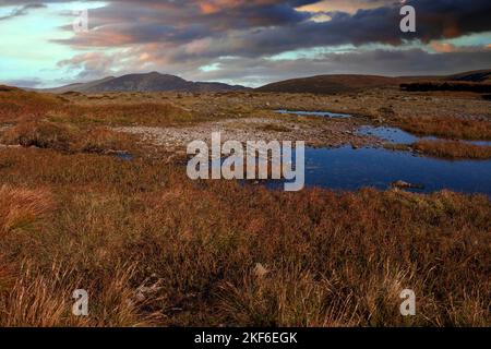 Auf dem Comeragh Plateau in der Grafschaft Waterford, Irland, gibt es viele kleine Teiche auf immer feuchten Sümpfe. Stockfoto
