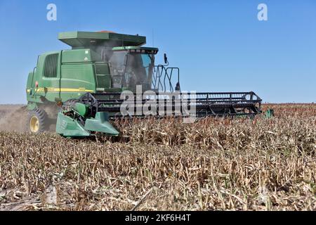 John Deere Mähdrescher 9550, Landwirt bei der Ernte von milo „Grain Sorghum“, „Sorghum vulgare“, Trego County, Kansas. Stockfoto