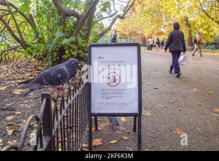 London, Großbritannien. 16.. November 2022. Eine Taube ruht neben einem Schild im St James's Park im Zentrum von London, auf dem die Menschen gewarnt werden, die Vögel nicht zu füttern, da ein weiterer Ausbruch der Vogelgrippe Großbritannien trifft. Der derzeitige tödliche Stamm der Vogelgrippe wurde auf Geflügelfarmen zurückverfolgt, wobei menschliche Handlungen und die Bedingungen, unter denen Hausvögel gehalten werden, zur Ausbreitung des Virus führen, das auf Wildvogelpopulationen überspringt. Kredit: Vuk Valcic/Alamy Live Nachrichten Stockfoto