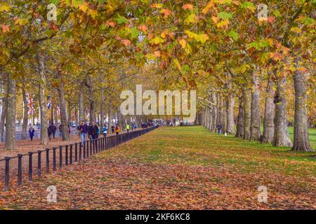 London, Großbritannien. 16.. November 2022: Herbstfarben im St James's Park. Stockfoto