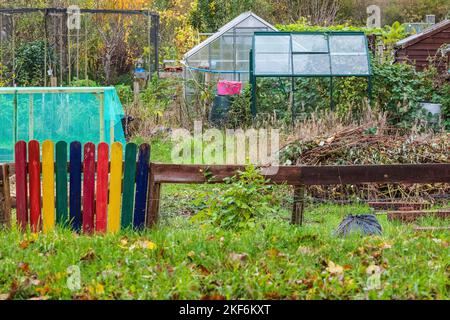 Gemüseanbau in Schrebergärten, Gemeinschaftsgärten in Wales, Großbritannien. Herbst. Gewächshaus, Schuppen und buntes Tor. Stockfoto