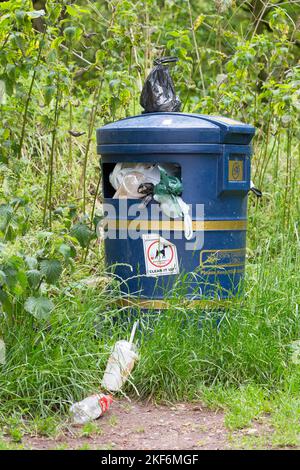 Vollständiger Abfall-/Abfalleimer isoliert im Landpark mit schwarzem Plastikbeutel mit Hundekot oben, Trinkbecher und Flaschen zum Mitnehmen auf dem Boden. Augenfleck auf dem Land in Großbritannien. Stockfoto