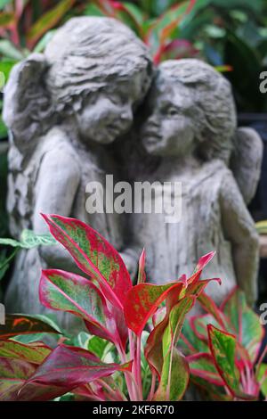 Nahaufnahme des Roten Aglaonema mit verschwommenen Engelskulpturen im Hintergrund Stockfoto