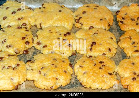 Kekse gebacken mit Schokoladenstückchen. Seitlich schräg angeordnete Makrofotografie von frisch gekochten Kuchen auf der Ofenplatte Stockfoto