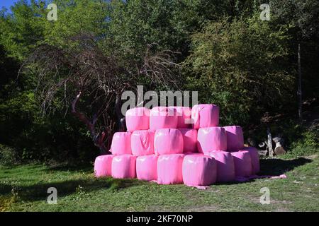 Stapel-, Stapel- oder Pyramidenballen aus Heuballen oder Strohballen, eingewickelt in rosa Kunststoff oder rosa Polythene Stockfoto