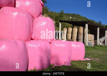Pinke Hay-Ballen oder Strohballen, die mit schockierendem rosa Kunststoff oder Polythene und Hay Barn auf dem Bauernhof in den Alpen-de-Haute-Provence Frankreich bedeckt sind Stockfoto