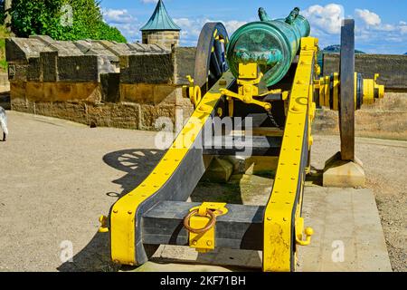 Historische Kanone an der Attika, Königstein Festung, Königstein, Sachsen Schweiz, Sachsen, Deutschland. Stockfoto