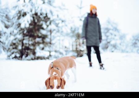 Frau mit roten Haaren spielt mit ihrem Hund in einem Winterwald Stockfoto