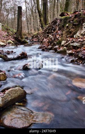 Wasser fließt in einem kleinen Bach mit Felsen neben einem Wanderweg in den Binger Wald von Deutschland. Stockfoto