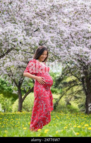 Schwangerschaft. Schwanger Frau Porträt im Frühjahr. Neue Saison und neues Lebenskonzept. Schwanger Frau in 3. Trimester zeigt Bauch in rotem Kleid. Asiatische Frau Stockfoto