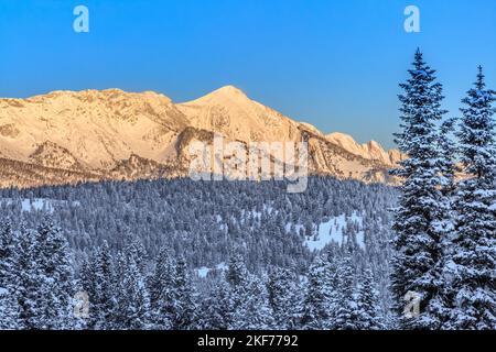 Erstes Licht auf dem Sacagawea-Gipfel in der bridger Range im Winter in der Nähe von bozeman, montana Stockfoto