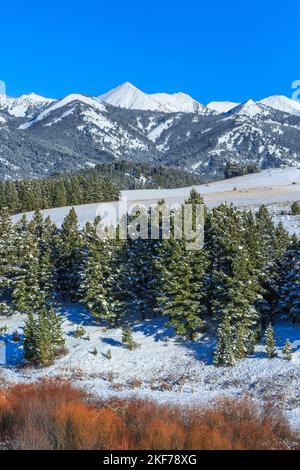 Verrückte Berge über dem Daisy Dean Creek Valley im Winter in der Nähe von Gwilsall, montana Stockfoto