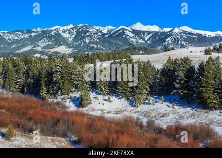 Verrückte Berge über dem Daisy Dean Creek Valley im Winter in der Nähe von Gwilsall, montana Stockfoto