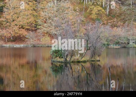 Herbstreflektionen auf Llyn Mair, (Mary's Lake) North Wales, Snowdonia National Park an Einem sonnigen Herbsttag Stockfoto