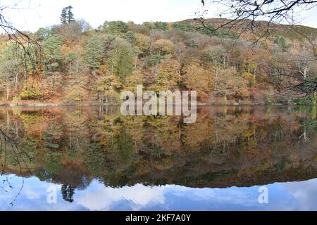 Herbstreflektionen auf Llyn Mair, (Mary's Lake) North Wales, Snowdonia National Park an Einem sonnigen Herbsttag Stockfoto