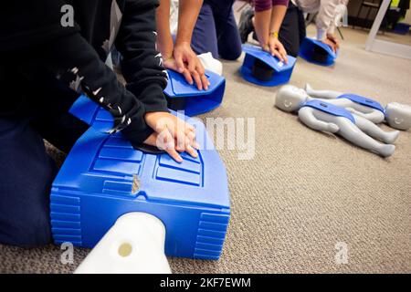 Eine HLW-Schulung, bei der die Teilnehmer erste Hilfe an prompten Übungspuppen üben Stockfoto