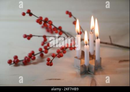 Mini-Adventskranz, vier kleine Kerzen auf einem Keksschneider in Sternform vor einem Stechenzweig mit roten Beeren auf einem Holztisch, ausgewählter Fokus, Stockfoto