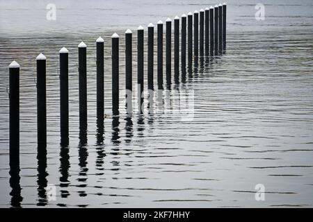 Schwarze Ankerhaufen oder Delfine aus Beton im Wasser, Saisonende in einem leeren Yachthafen an der Ostsee an einem grauen Novembertag, nahe Stockfoto