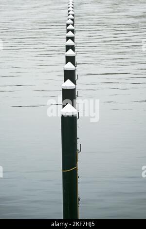 Reihe von schwarzen Anlegestapeln oder Delfinen im Wasser, leerer Yachthafen an der Ostsee an einem grauen Novembertag, abstraktes Bild, fast monochrom, c Stockfoto