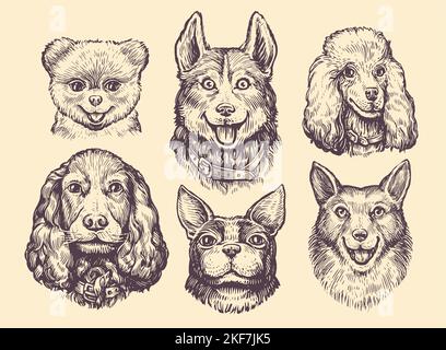 Beliebte Hunderassen Skizze gesetzt. Niedliche Hund oder Welpen Zeichen Design-Kollektion. Lustige Haustier Tiere Vektor-Illustration Stock Vektor