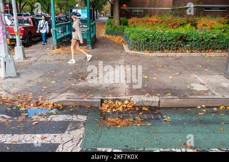 Der Herbst hinterlässt am Samstag, dem 12. November 2022, einen Abfall auf den Straßen, nachdem die Überreste des US-amerikanischen „Huas“, der „Nicole“, durch New York in Chelsea, passiert sind. Die Stadt unternimmt Anstrengungen, Auffangbecken und Sturmabflüsse zu reinigen, um lokale Überschwemmungen zu verhindern. (© Richard B. Levine) Stockfoto