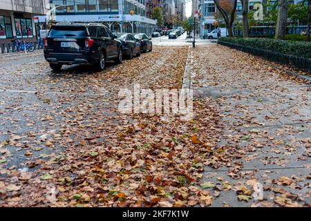 Der Herbst hinterlässt am Samstag, dem 12. November 2022, einen Abfall auf den Straßen, nachdem die Überreste des US-amerikanischen „Huas“, der „Nicole“, durch New York in Chelsea, passiert sind. Die Stadt unternimmt Anstrengungen, Auffangbecken und Sturmabflüsse zu reinigen, um lokale Überschwemmungen zu verhindern. (© Richard B. Levine) Stockfoto