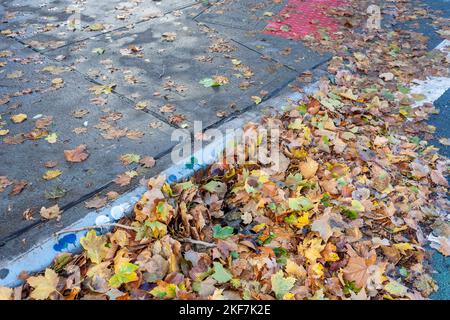 Der Herbst hinterlässt am Samstag, dem 12. November 2022, einen Abfall auf den Straßen, nachdem die Überreste des US-amerikanischen „Huas“, der „Nicole“, durch New York in Chelsea, passiert sind. Die Stadt unternimmt Anstrengungen, Auffangbecken und Sturmabflüsse zu reinigen, um lokale Überschwemmungen zu verhindern. (© Richard B. Levine) Stockfoto