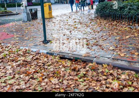 Der Herbst hinterlässt am Samstag, dem 12. November 2022, einen Abfall auf den Straßen, nachdem die Überreste des US-amerikanischen „Huas“, der „Nicole“, durch New York in Chelsea, passiert sind. Die Stadt unternimmt Anstrengungen, Auffangbecken und Sturmabflüsse zu reinigen, um lokale Überschwemmungen zu verhindern. (© Richard B. Levine) Stockfoto