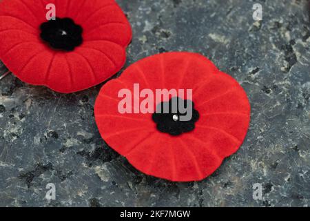 Remembrance Day zwei Mohnblumennadeln auf Steinhintergrund. Stockfoto