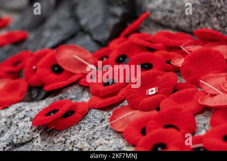 Remembrance Day rote Mohnblumen auf dem Grab des unbekannten Soldaten in Ottawa, Kanada Stockfoto