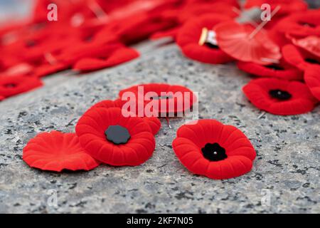 Nahaufnahme der Mohnblumennadeln am Gedenktag Stockfoto