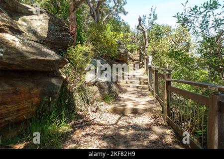 Bäume auf beiden Seiten des Bradleys Head Walking Track im Sydney Harbour National Park, Australien Stockfoto