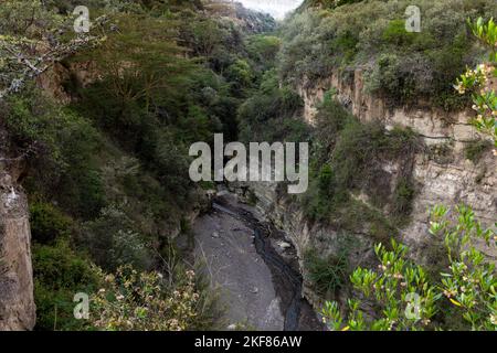 Der Hell's Gate National Park liegt südlich des Lake Naivasha in Kenia, nordwestlich von Nairobi. Der Hell's Gate National Park ist nach einer engen Pause im Nationalpark benannt Stockfoto